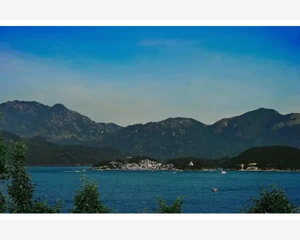 中医脾胃学说的奥秘与应用