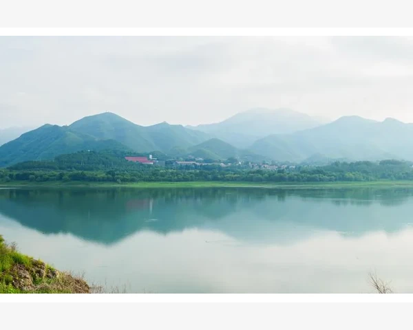 多方调养脾胃，健康从胃开始